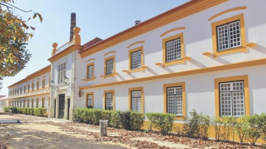 Vista Alegre Atlantis impõe férias antes de lay off, em Ílhavo